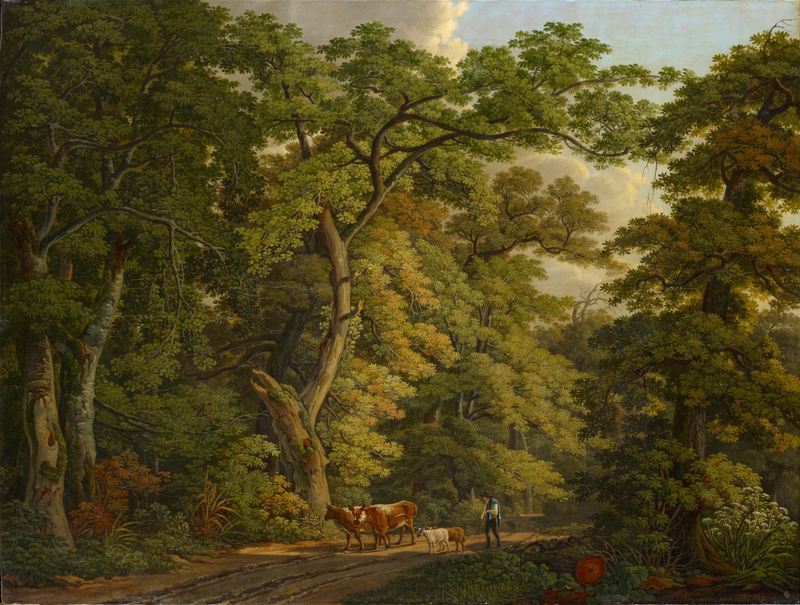 Das Bild liefert keine authentische Abbildung der historischen Waldweide im Hardwald, sondern eine ästhetische Überhöhung zu einer Waldidylle.