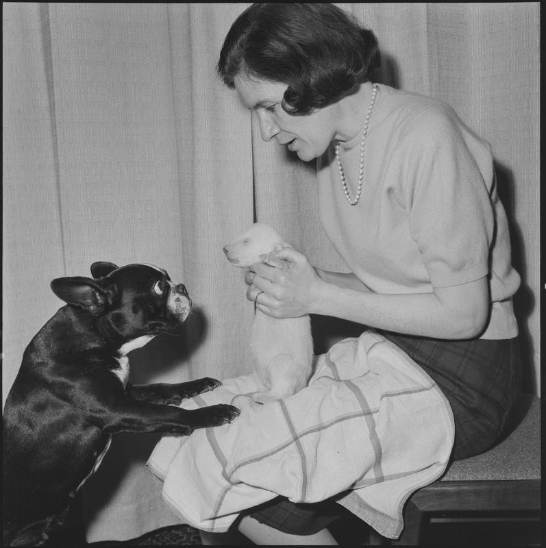 Kurz nach seiner Geburt zog Luzi bei Zita Steinemann, Paul Steinemann und deren Hündin ‹Bichette› ein. Bereits nach wenigen Wochen war er allerdings so gross und stark, dass er nicht länger in der Wohnung bleiben konnte. Eine Verbindung immerhin blieb: Der Eisbär reagierte noch viele Wochen nach seiner Reintegration in den Zoo sofort durch lautes Aufheulen, wenn er das Herannahen seiner Pflegeeltern riechen konnte.