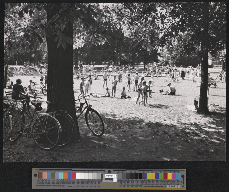 In zahlreichen Fotografien liess die Stadtgärtnerei das Leben in den Basler Parkanlagen dokumentieren – fast als gelte es, die vielfältigen Nutzungsmöglichkeiten zu bewerben.