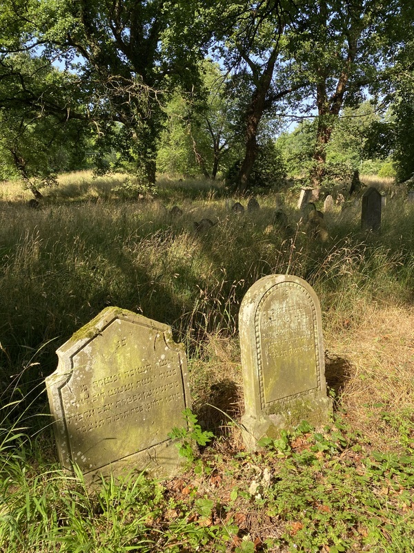 Der Friedhof ist seit 1673 in Betrieb, rund dreitausend Grabsteine sind erhalten. Auch nach der Eröffnung des jüdischen Friedhofs in Basel 1903 fanden in Hégenheim Bestattungen von Schweizer Juden statt. Samuel Dreyfus-Neumann etwa, der von 1866 bis 1896 der Israelitischen Gemeinde Basel vorstand, wurde 1905 in Hégenheim begraben.