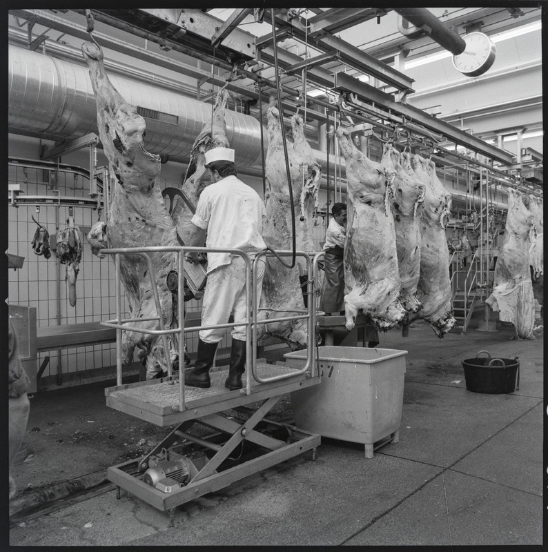 Der 1970 eröffnete neue Basler Schlachthof, der grösste Schlachtbetrieb in der Schweiz, war ganz auf die rationalisierte Fleischverarbeitung ausgerichtet.